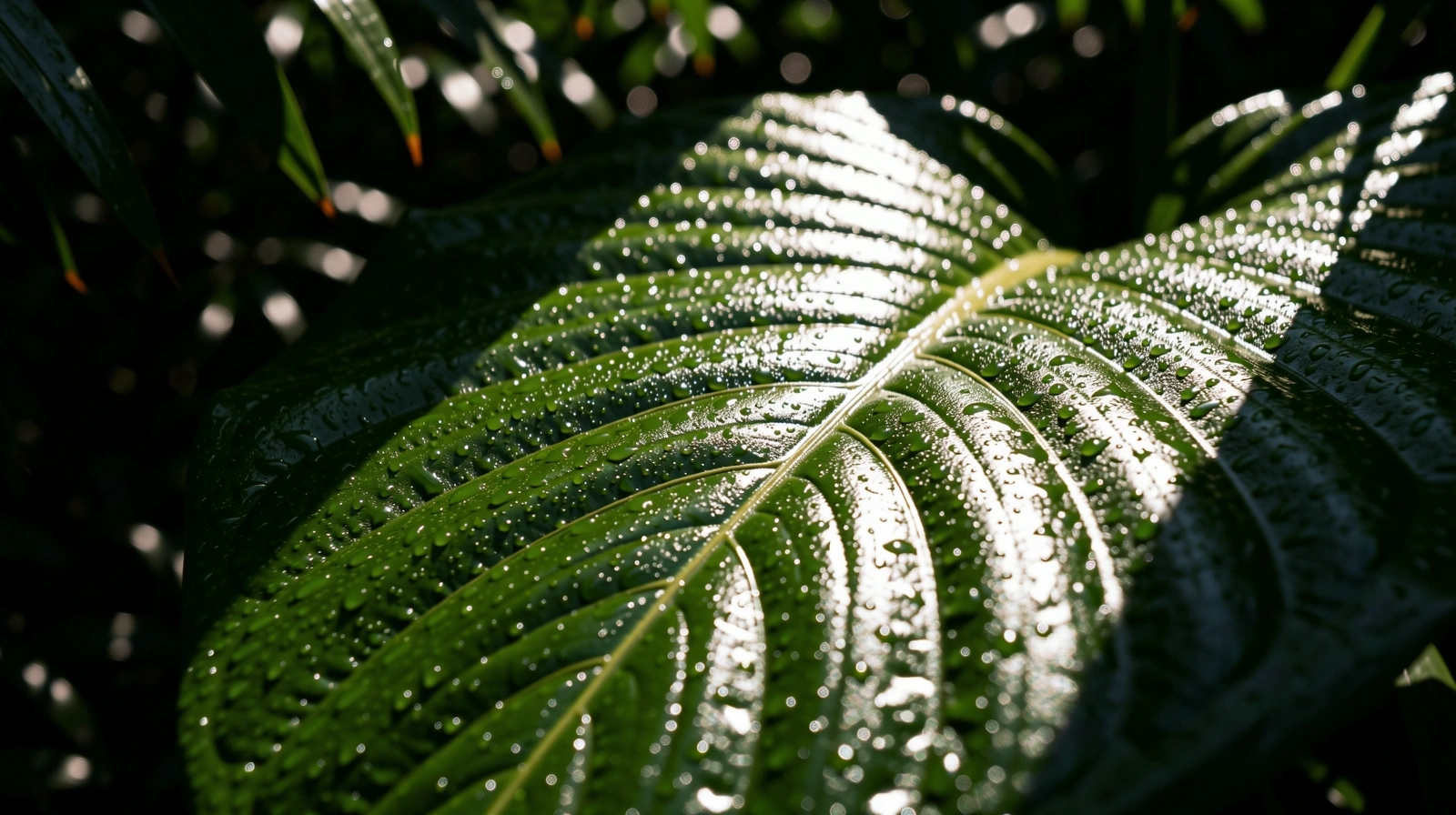 Botanical vitality background